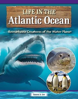 Awesome Creatures of the Atlantic Ocean