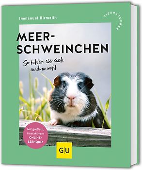 Meerschweinchen