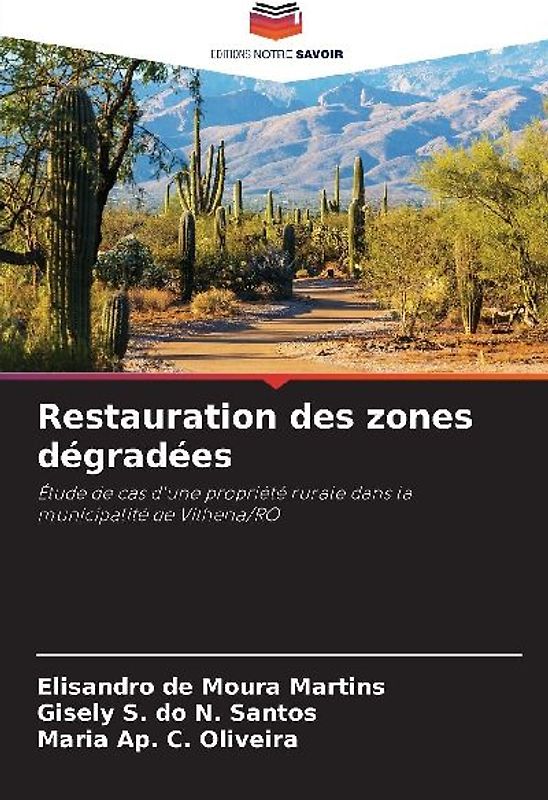 Restauration des zones dégradées