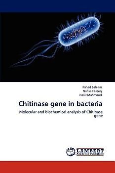 Chitinase gene in bacteria