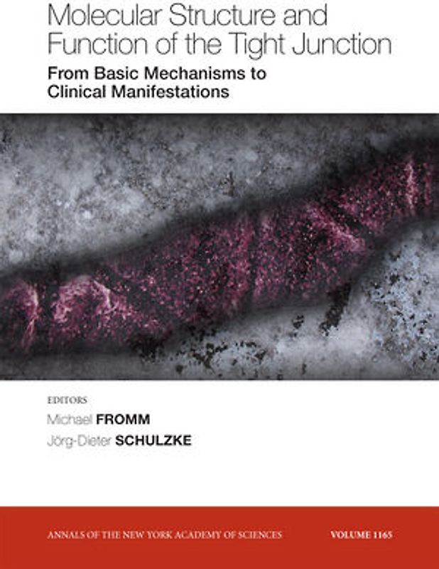 Molecular Structure and Function of the Tight Junction