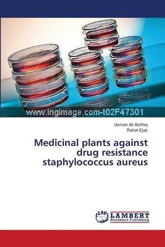 Medicinal plants against drug resistance staphylococcus aureus