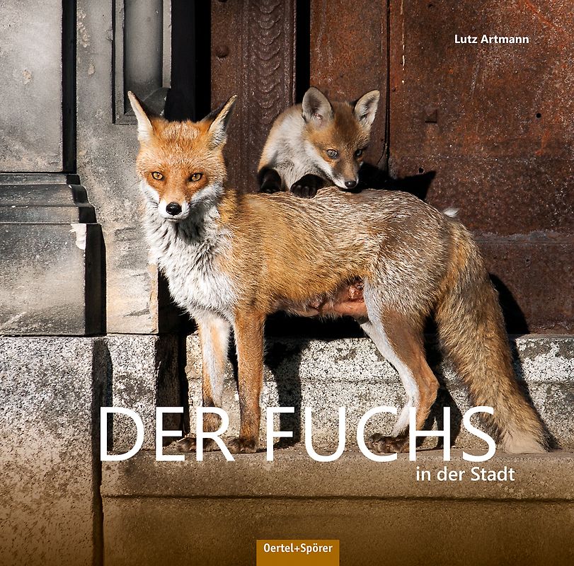 Der Fuchs in der Stadt