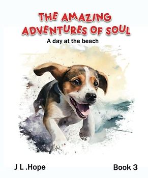 The Amazing Adventures of Soul: A day at the beach