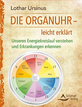 Die Organuhr – leicht erklärt
