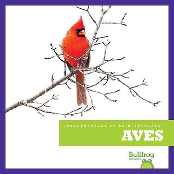 Aves (Birds)