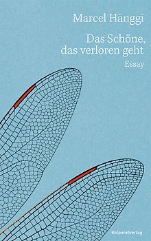 Das Schöne, das verloren geht