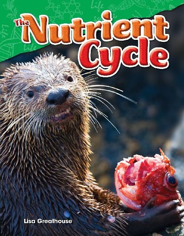 The Nutrient Cycle