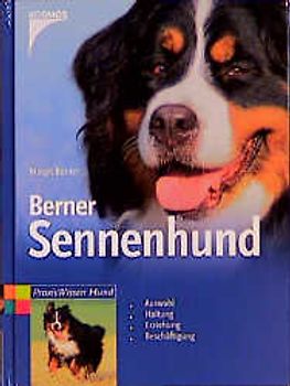 Berner Sennenhund
