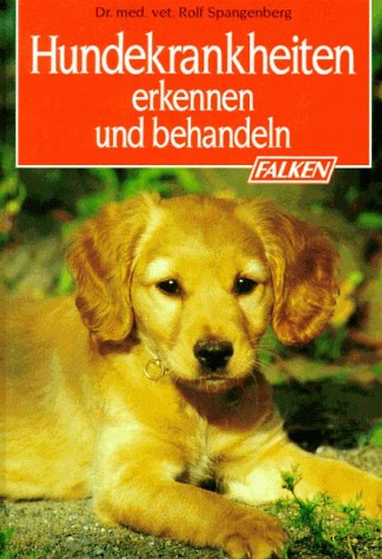Hundekrankheiten erkennen und behandeln