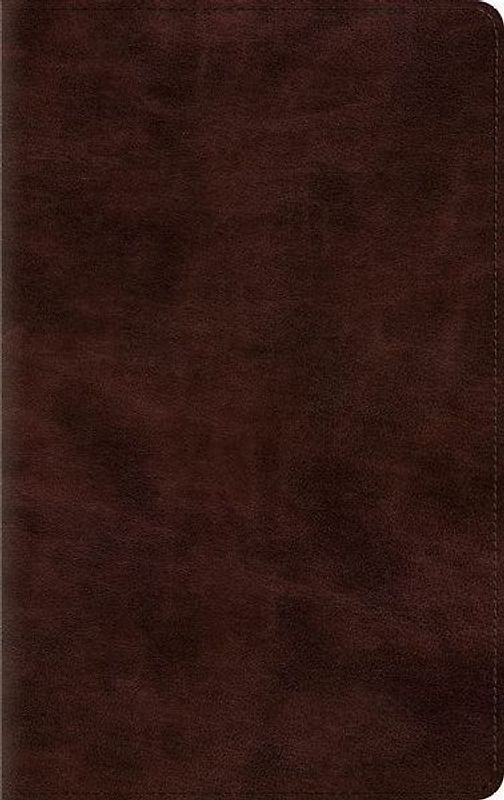 Thinline Bible-ESV