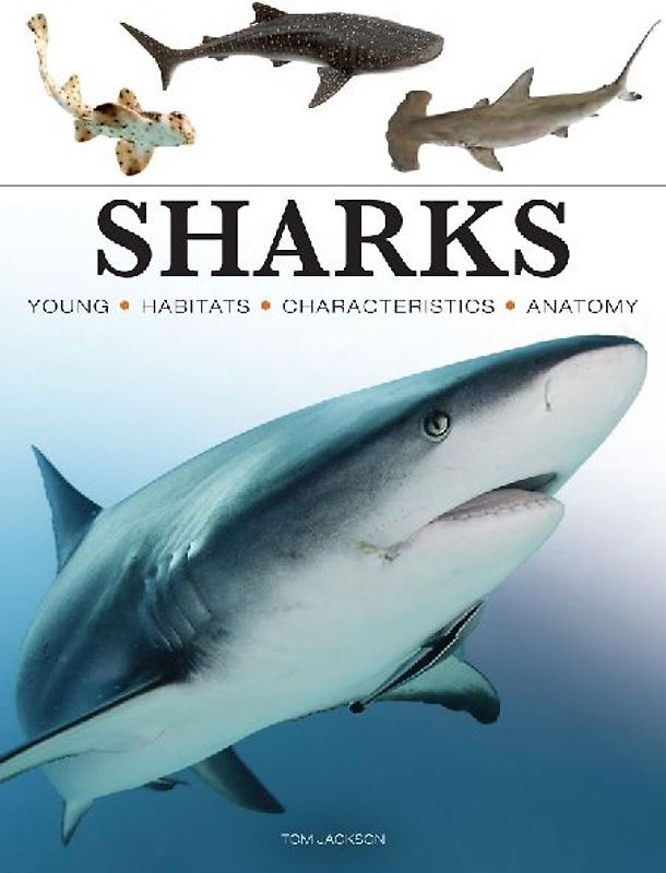 Sharks & Underwater Predators