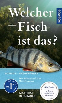 Welcher Fisch ist das?