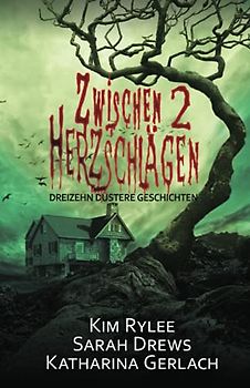 Zwischen zwei Herzschlägen: dreizehn düstere Kurzgeschichten