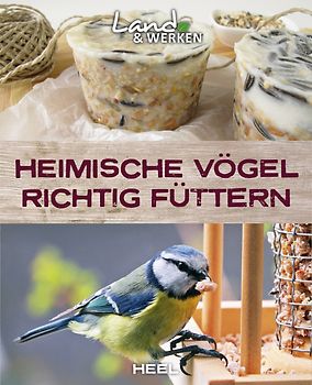 Heimische Vögel richtig füttern