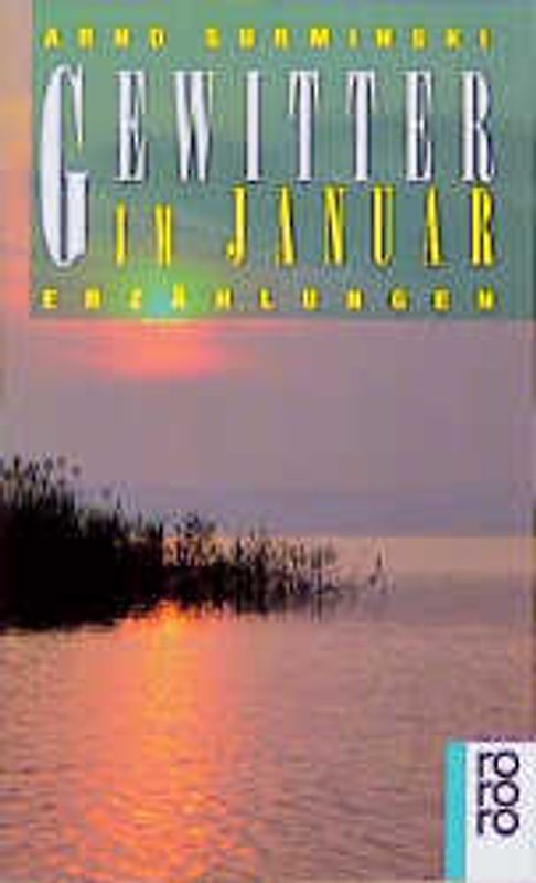 Gewitter im Januar. Erzählungen