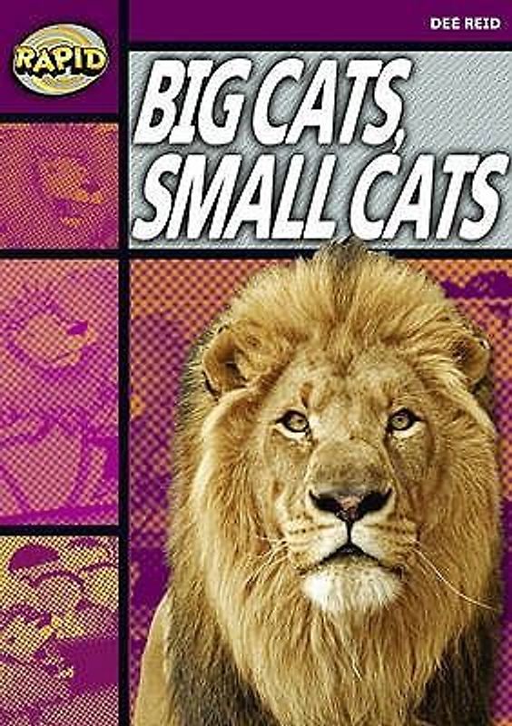 Rapid Reading: Big Cats Small Cats (Stage 1, Level 1a)