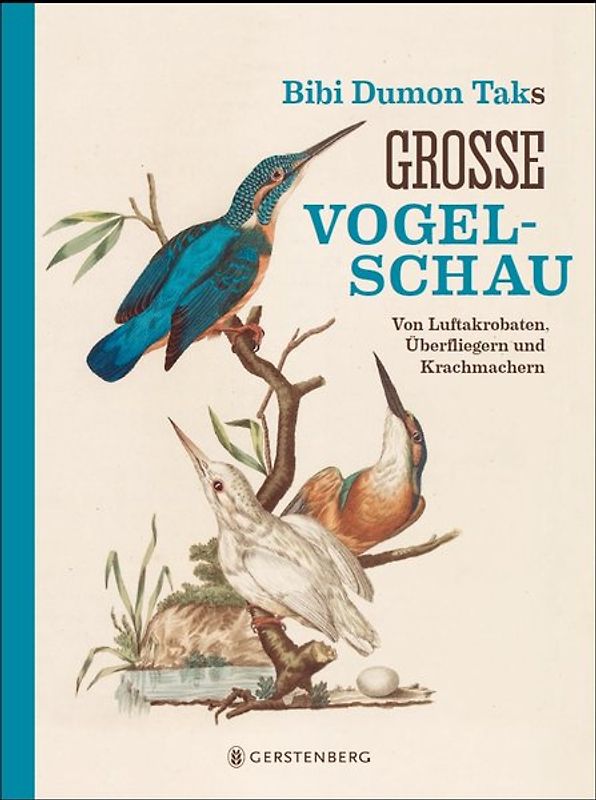 Bibi Dumon Taks große Vogelschau