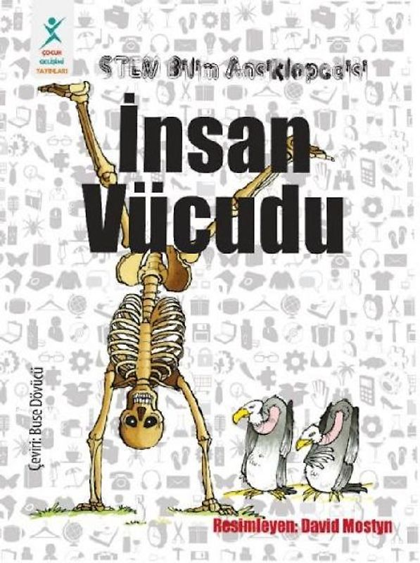 Insan Vücudu