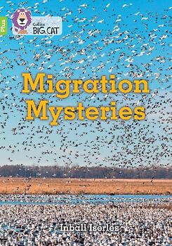 Migration Mysteries