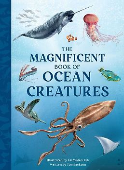 The Magnificent Book of Ocean Creatures