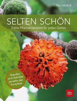 Selten schön