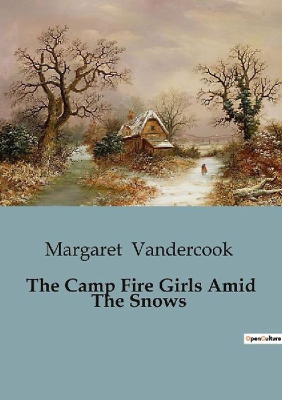 The Camp Fire Girls Amid The Snows