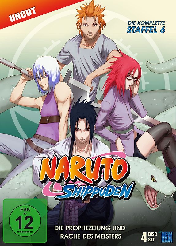 Naruto Shippuden: Staffel 6 - Folge 333-363 [4 DVDs] DVD