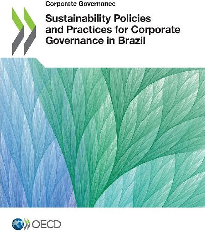 Sustainability Policies and Practices for Corporate Governance in Brazil