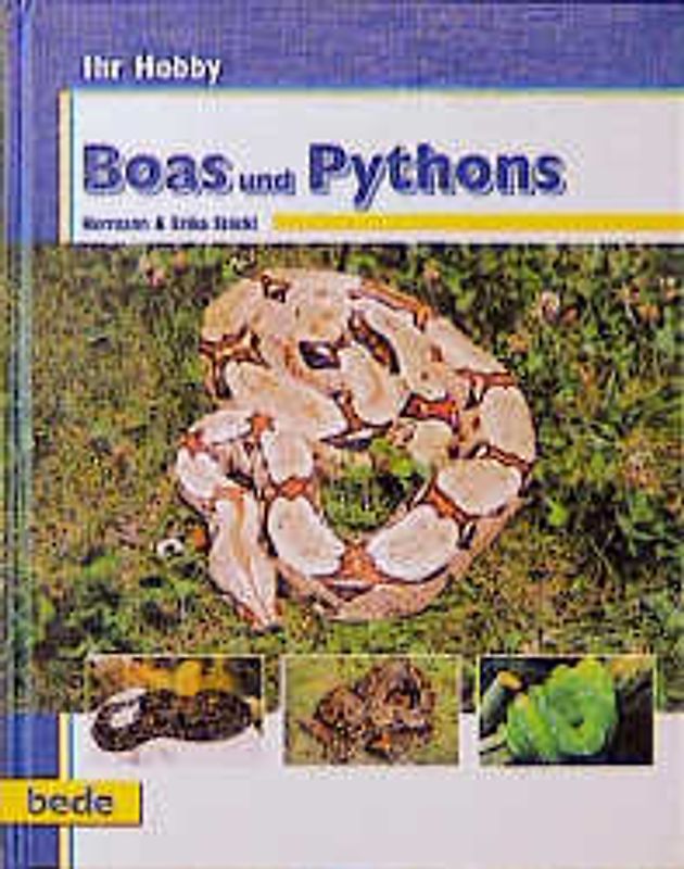 Ihr Hobby Boas & Pythons