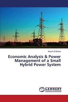 Economic Analysis & Power Management of a Small Hybrid Power System
