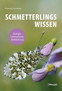 Schmetterlingswissen