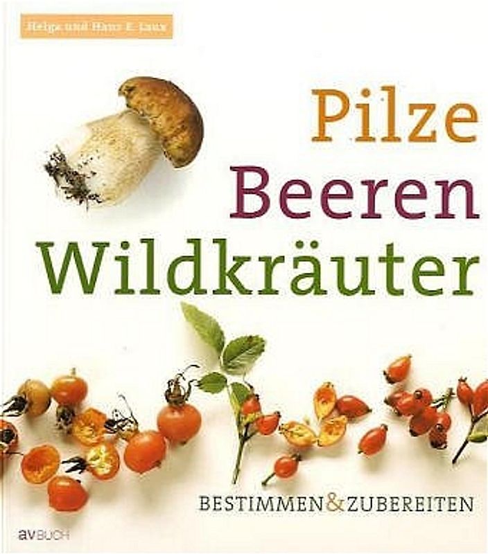 Pilze, Beeren, Wildkräuter