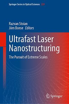 Ultrafast Laser Nanostructuring