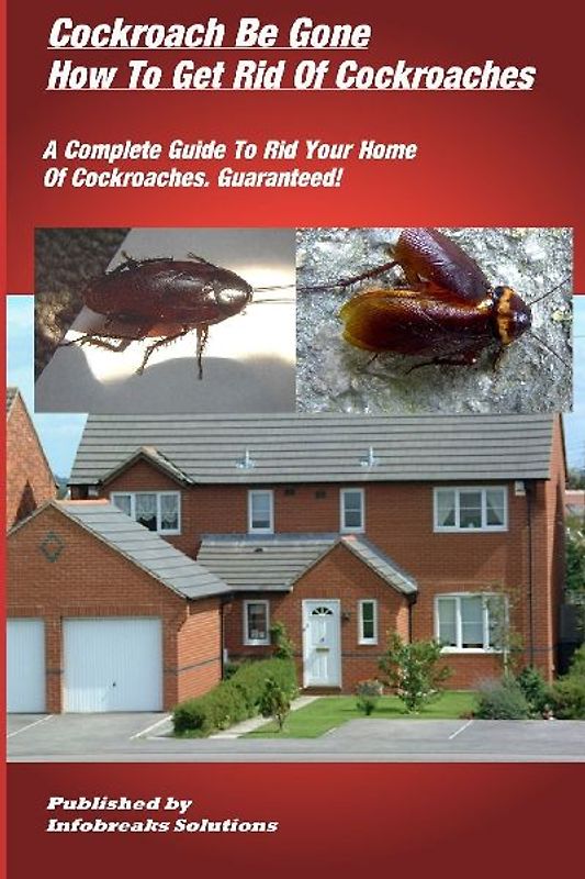 How To Get Rid Of Cockroaches
