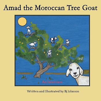 Amad the Moroccan Tree Goat
