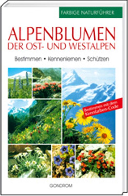 Alpenblumen der Ost- und Westalpen