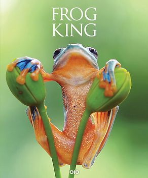 Frog King