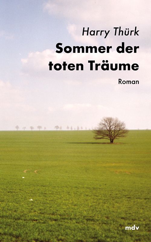 Sommer der toten Träume. Roman