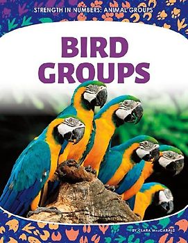 Bird Groups