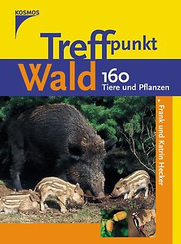 Treffpunkt Wald