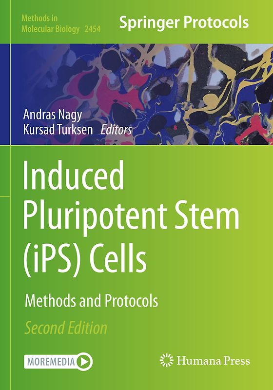 Induced Pluripotent Stem (iPS) Cells