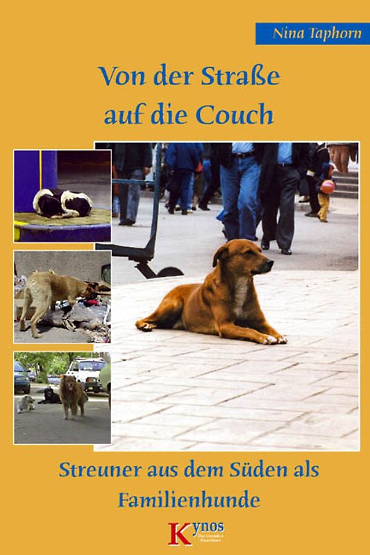 Von der Straße auf die Couch