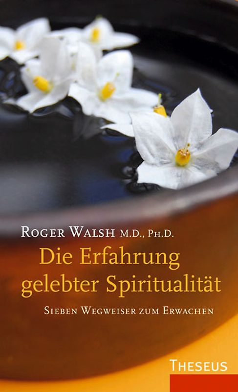 Die Erfahrung gelebter Spiritualität