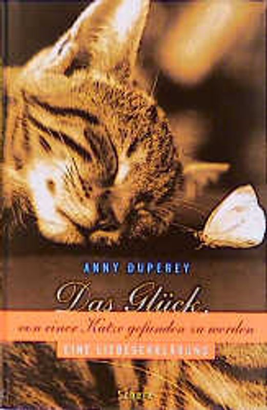 Das Glück, von einer Katze gefunden zu werden. Eine Liebeserklärung