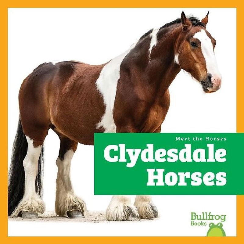 Clydesdale Horses