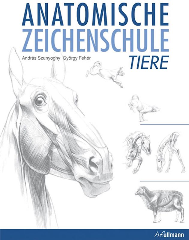 Anatomische Zeichenschule Tier