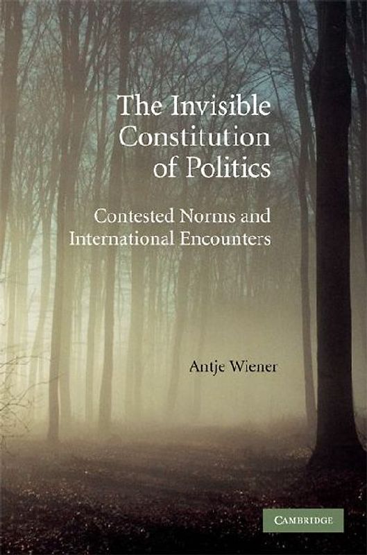 The Invisible Constitution of Politics