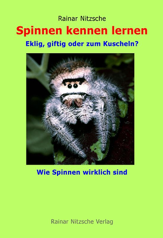 Spinnen kennen lernen