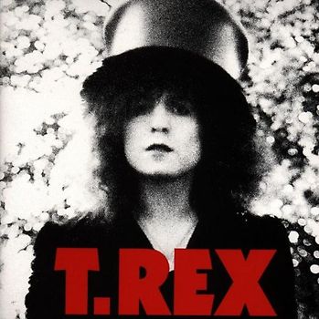 T.Rex - Slider